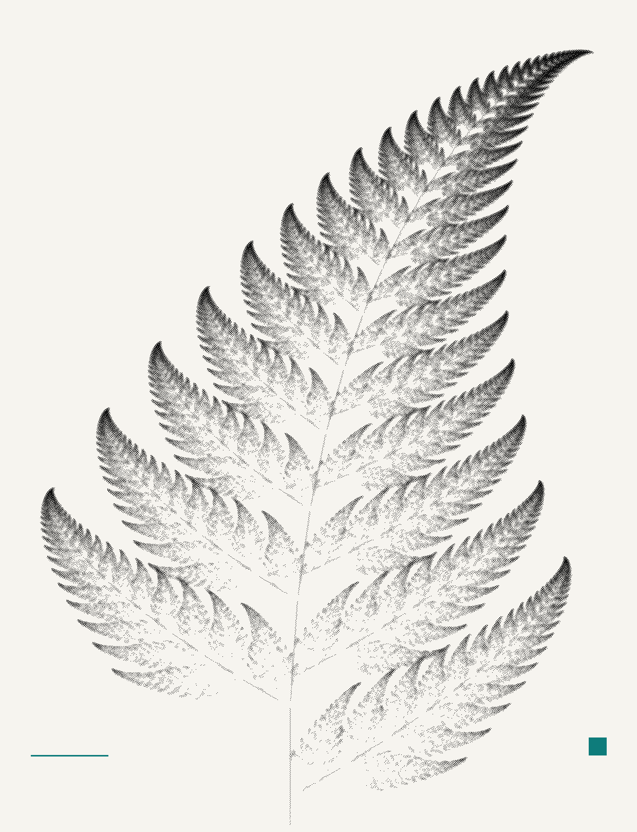 A dithered botanical plate of a fern, printed in black on paper.